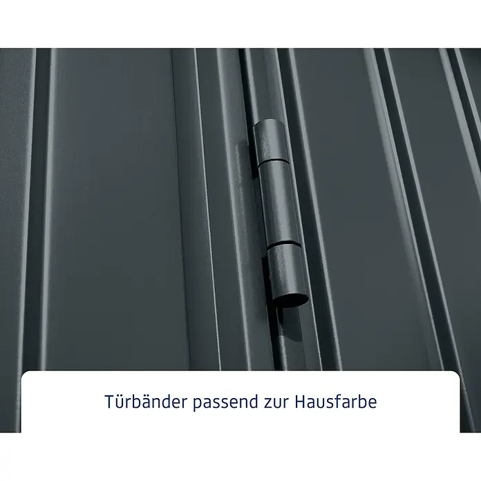 EcoStar Gerätehaus Trend-P Typ 1 - Außenbreite inkl. Dachüberstand: 247,9 cm, Außentiefe inkl. Dachüberstand: 153 cm, Anthrazitgrau, Einzeltür - Detailansicht eines grauen Metalltürbands, passend zur Farbe der Hausfassade. Robuste und langlebige Ausführung.