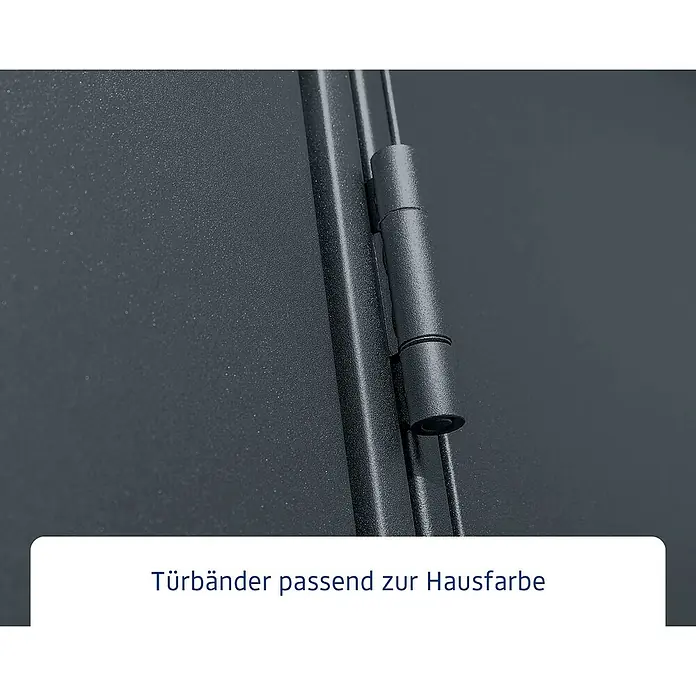EcoStar Gerätehaus Elegant-P Typ 3 - Außenmaß inkl. Dachüberstand (B x T): 312,7 x 283,4 cm, Anthrazitgrau, Einzeltür - Türbänder passend zur Hausfarbe.