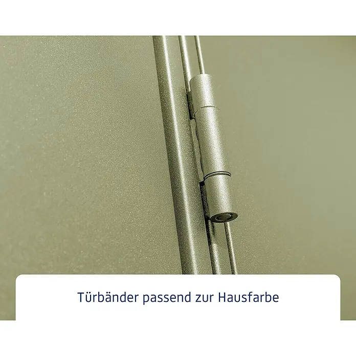 EcoStar Gerätehaus Elegant-P Typ 2 - Außenbreite inkl. Dachüberstand: 247,9 cm, Außentiefe inkl. Dachüberstand: 283,4 cm, Schilfgrün, Einzeltür - Nahaufnahme eines Türbands, das farblich auf die Tür abgestimmt ist. Eine hochwertige und stilvolle Ergänzung für jedes Zuhause.