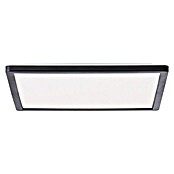 Brilliant LED-Deckenleuchte Tanida (20 W, L x B x H: 29,5 x 29,5 x 2,6 cm, Schwarz, Kaltweiß) | BAUHAUS