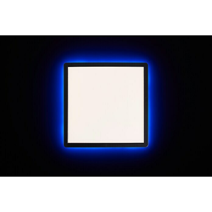 Brilliant LED-Deckenleuchte Tanida (20 W, L x B x H: 29,5 x 29,5 x 2,6 cm, Schwarz, Kaltweiß) | BAUHAUS