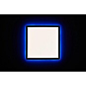 Brilliant LED-Deckenleuchte Tanida (20 W, L x B x H: 29,5 x 29,5 x 2,6 cm, Schwarz, Kaltweiß) | BAUHAUS