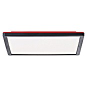 Brilliant LED-Deckenleuchte Tanida (20 W, L x B x H: 29,5 x 29,5 x 2,6 cm, Schwarz, Kaltweiß) | BAUHAUS