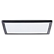 Brilliant LED-Deckenleuchte Tanida (20 W, L x B x H: 29,5 x 29,5 x 2,6 cm, Schwarz, Kaltweiß) | BAUHAUS