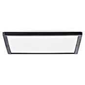 Brilliant LED-Deckenleuchte Tanida (20 W, L x B x H: 29,5 x 29,5 x 2,6 cm, Schwarz, Kaltweiß) | BAUHAUS