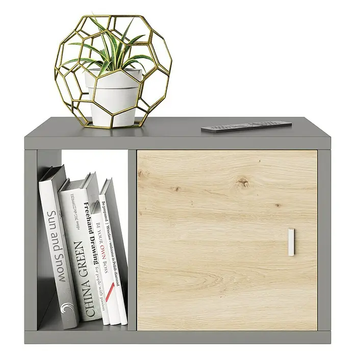 Phönix Fortuna Beistelltisch - L x B x H: 34 x 58 x 39,2 cm, Grau, Mit Türeinsatz - Nahaufnahme eines grauen Regals mit einer Pflanze, Büchern und einem Schrank mit Holzstruktur.