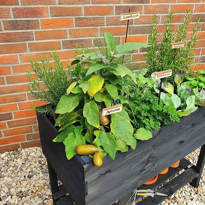 Promadino Hochbeet - 100 x 50 x 80 cm, Holz, Anthrazit - Gemüsebeet mit Avocado, Schnittlauch, Rosmarin und Petersilie in einem schwarzen Holzkasten vor einer Backsteinmauer.