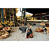 Buschbeck Schwenkgrill (Passend für: Buschbeck Feuerschale Ø 80 - 100 cm)