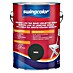 swingcolor Lak u boji 