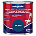 swingcolor Pisani lak 