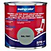 swingcolor Pisani lak 