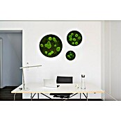 styleGreen Moosbild (34 x 6 cm) | BAUHAUS