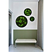 styleGreen Moosbild (80 x 6 cm) | BAUHAUS