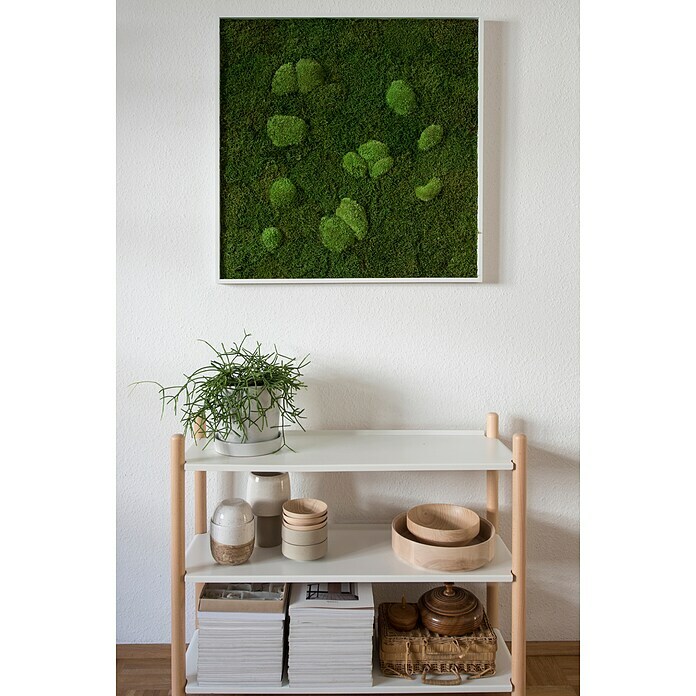 styleGreen Moosbild (80 x 80 cm) | BAUHAUS