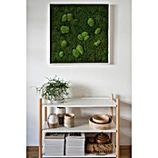 styleGreen Moosbild (80 x 80 cm) | BAUHAUS