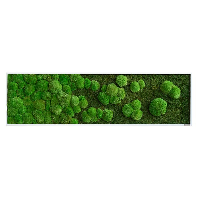 styleGreen Moosbild Verlauf (140 x 40 cm) | BAUHAUS