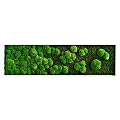 styleGreen Moosbild Verlauf (140 x 40 cm) | BAUHAUS