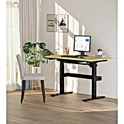 Schreibtisch WB101 elektrisch Höhenverstellbar (L x B: 120 x 60 cm, Höhenverstellung: 75 cm - 110 cm, Schwarz) | BAUHAUS