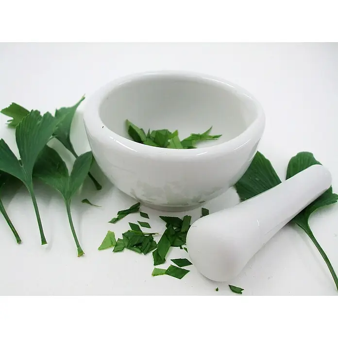 Ginkgo - Ginkgo biloba, Topfgröße: 12 cm - Nahaufnahme eines weißen Mörsers und Stößels mit Ginkgoblättern, die traditionelle Medizin und natürliche Gesundheit hervorheben.