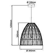 Brilliant Pendelleuchte Minster (25 W, Schwarz, E27) | BAUHAUS