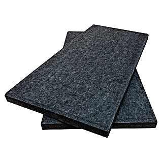 Akustikpaneel (Anthrazit, 2 Stk., 100 x 50 x 5 cm)