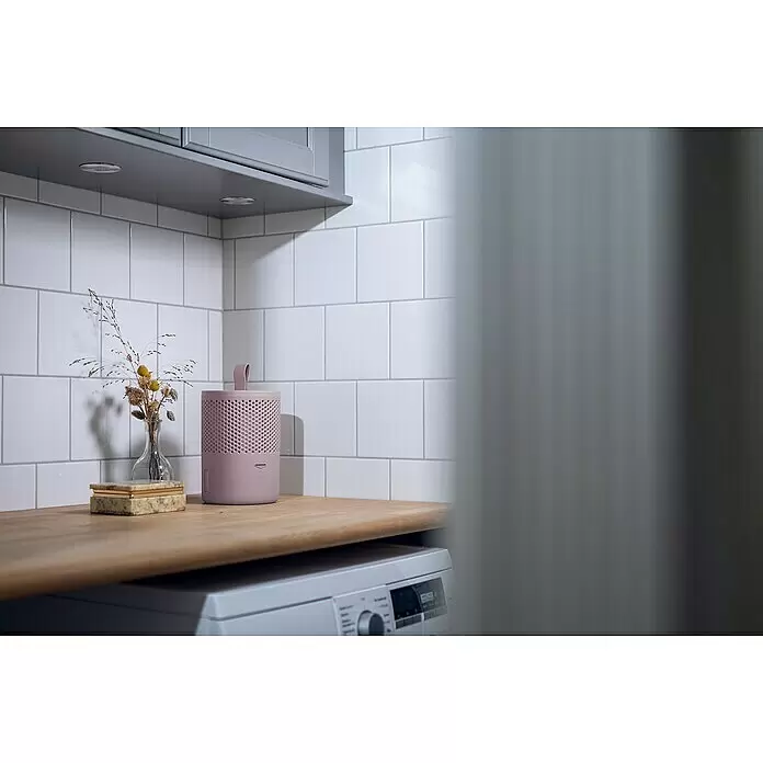 Absodry Duo Family Luftentfeuchter Series 6 - Pink, 1 Mon - 3 Mon - Rosa zylindrischer Luftentfeuchter auf Holztheke, neben Trockenblumen, über Waschmaschine.