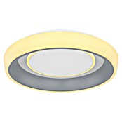 Globo LED stropna svetilka Tabano  (46 W, Ø x V: 50 x 9,5 cm, IP20) | 3016 - Deckenleuchte | CACB - Deckenleuchten | CAC - Indoorleuchten | CA - Beleuchtung | C - Elektro | BAUHAUS
