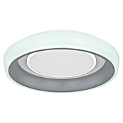 Globo LED stropna svetilka Tabano  (46 W, Ø x V: 50 x 9,5 cm, IP20) | 3016 - Deckenleuchte | CACB - Deckenleuchten | CAC - Indoorleuchten | CA - Beleuchtung | C - Elektro | BAUHAUS