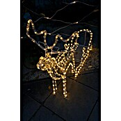 Tween Light LED-Lichtschlauch Rentier mit Schlitten (Anwendungsbereich: Außen, Warmweiß, Länge: 126 cm, Energieeffizienzklasse: A++ bis A)