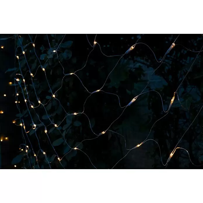 Tween Light LED-Lichtnetz - Außen, 2 m, Lichtfarbe: Warmweiß, Netzbetrieben - Warmweiße LED-Lichterkette mit transparenten Kabeln leuchtend vor dunklem Blattwerk.