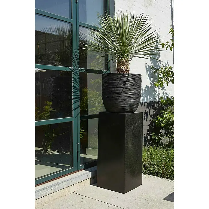 Capi Europe Nature Rib NL Pflanztopf Rib - Außenmaß (Ø x H): 35 x 34 cm, Schwarz, Kunststoff - Eine moderne Pflanzsäule mit einem schwarzen Topf und einer stacheligen Pflanze darauf, neben einer Glastür.