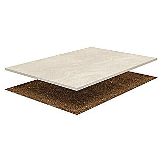 DryTile Feinsteinzeugfliese Evalia (60 x 60 cm, Beige, Glänzend)