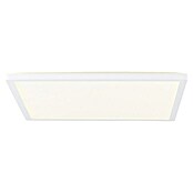 Brilliant LED-Deckenleuchte Tanida eckig (22 W, L x B x H: 42 x 42 x 2,6 cm, Weiß, Kaltweiß) | BAUHAUS