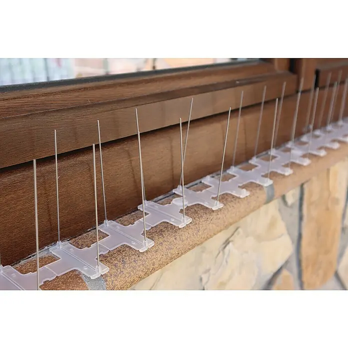 Altadex Sistema antipalomas - Largo: 200 cm, Acero - Primer plano de púas disuasorias para aves montadas en el alféizar de una ventana, ofreciendo una solución humana para el control de aves y la prevención de daños.