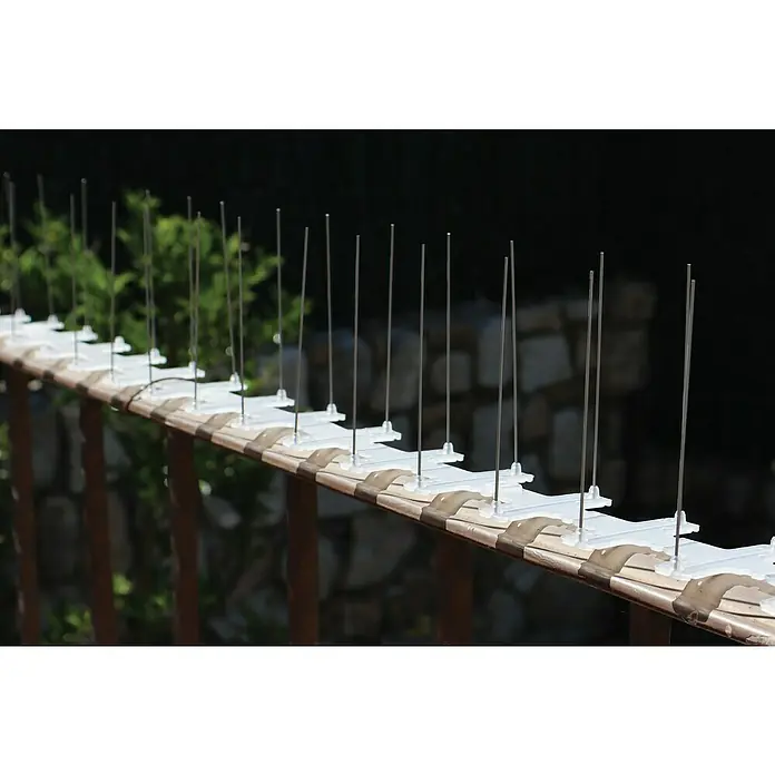 Altadex Sistema antipalomas - Largo: 200 cm, Acero - Primer plano de púas disuasorias de aves en una barandilla, diseñadas para evitar que las aves aterricen y se posen.