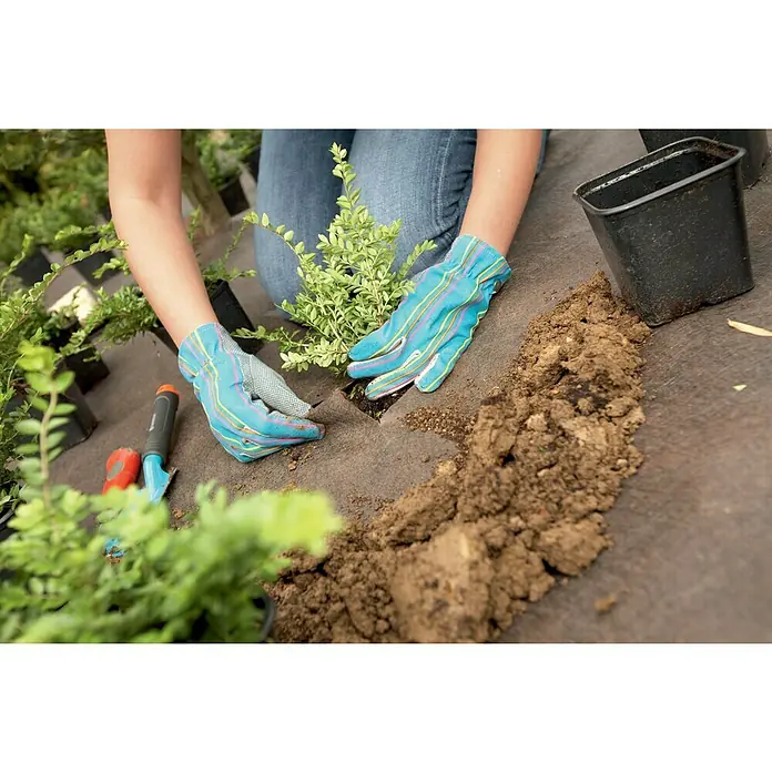 Gardol Premium Unkrautvlies - Polypropylen, 3 x 2 m - Eine Person trägt Gartenhandschuhe und pflanzt einen Setzling in ein Beet mit Unkrautvlies.