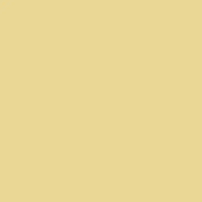 swingcolor Esmalte de color Multisuperficie - Miel, Satinado, 750 ml - Patrón amarillo claro sólido, ideal para fondos o diseños sutiles. Crea un ambiente cálido y acogedor.