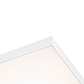 Briloner LED-Panel Magic (38 W, L x B x H: 59 x 59 x 6,8 cm, Mehrfarbig) | BAUHAUS