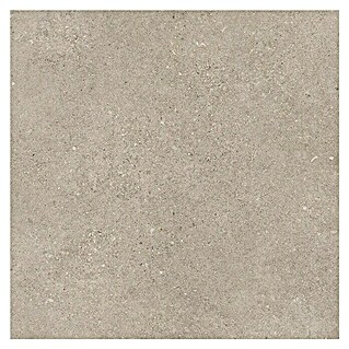 Azteca Feinsteinzeugfliese Shellstone (60 x 60 cm, Greige, Matt)