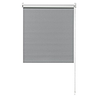 Expo Ambiente Rolo zavjesa za zatamnjivanje (Š x V: 80 x 190 cm, Sive boje, Uni)