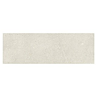 Azteca Wandfliese Shellstone (90 x 30 cm, Weiß, Matt)