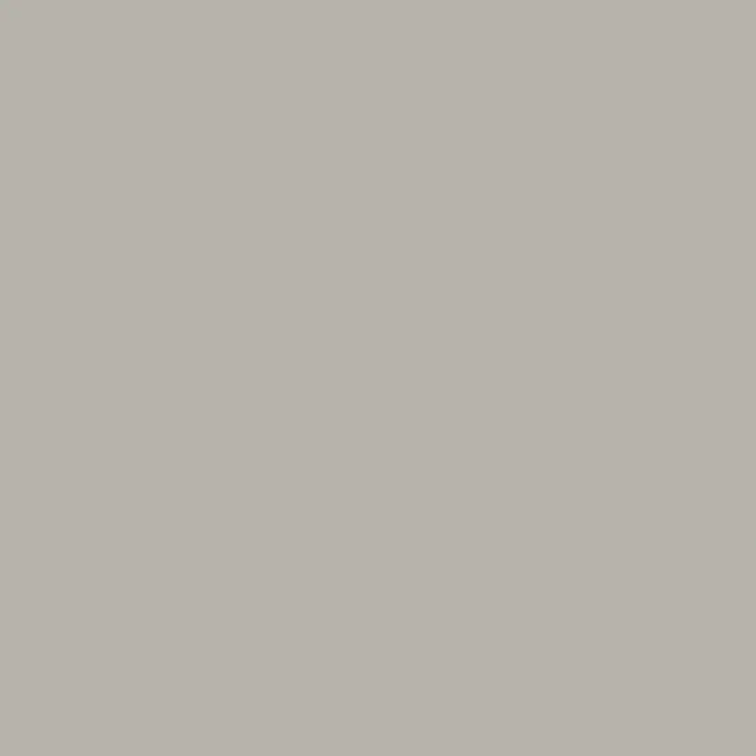 swingcolor Wandfarbe SIMPLY - Greige - Nr. 05, 2,5 l - Einheitlicher hellgrauer Hintergrund, ideal für Präsentationen oder als neutrale Leinwand für kreative Projekte und vielseitige Designs.