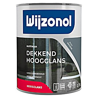Wijzonol Kleurlak Dekkend Hoogglans 9121 Antraciet (Antraciet, Hoogglans)