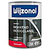 Wijzonol Kleurlak Dekkend Hoogglans 9450 Zwart (Zwart, Hoogglans) | BAUHAUS