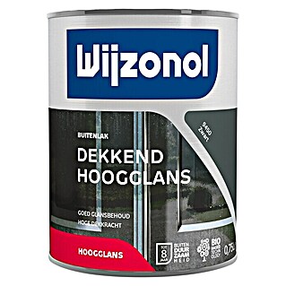 Wijzonol Kleurlak Dekkend Hoogglans 9450 Zwart (Zwart, Hoogglans)