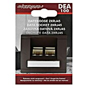 Voltomat DEA 100 UAE-Steckdose RJ45