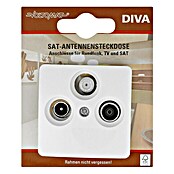 Voltomat DIVA Antennendose