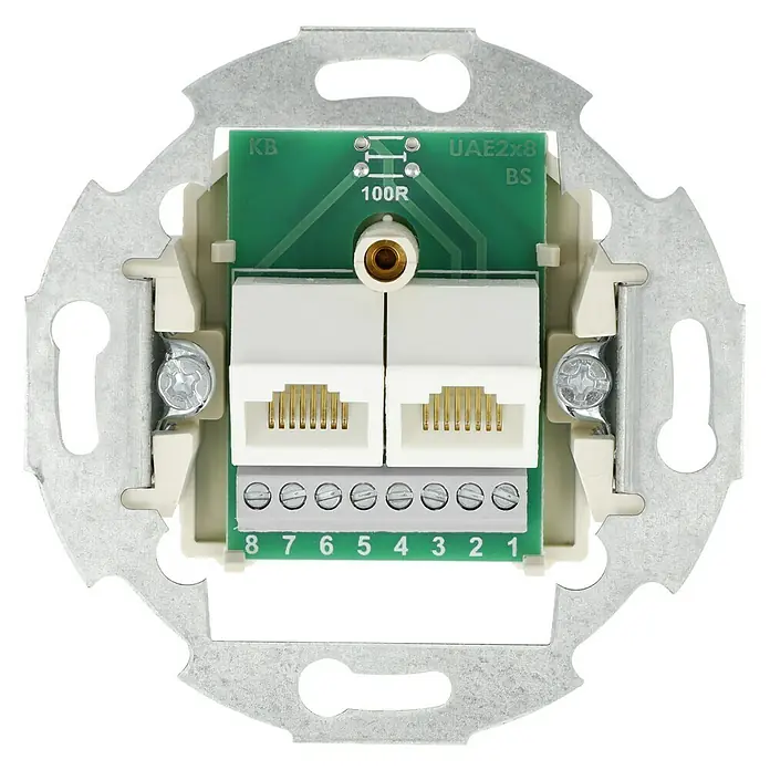 UAE-Dosen-Einsatz - 2-fach, Unterputzmontage - Nahaufnahme eines Netzwerkanschlussmoduls mit zwei Ports, das in einer Wand montiert wird und über Schraubanschlüsse verfügt.