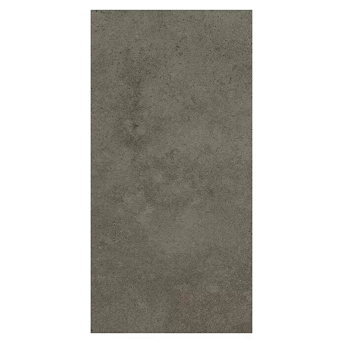 Art-Tec by Palazzo Feinsteinzeugfliese - 60 x 120 cm, Taupe, Glänzend - Draufsicht