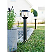 Garden 24 LED-Wegeleuchte (Schwarz, Höhe: 45,5 cm, Warmweiß) | BAUHAUS